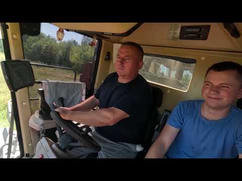 Видео: Продолжаем убирать озимый рапс и первые нюансы с GS12A1 PRO