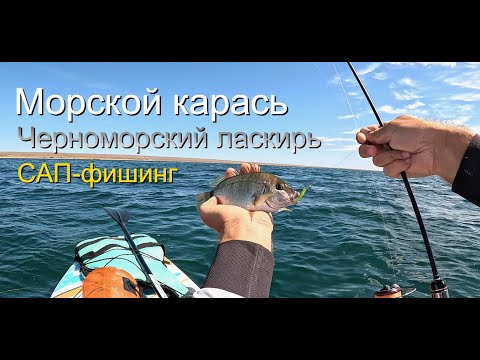 Видео: ЛАСКИРЬ на силиконовые приманки. САП-фишинг в Черном море. Рыбалка на Донузлаве 19.07.2025