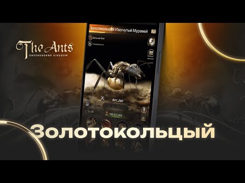 Видео: Палка стреляет: Золотокольцый Изогнутый Муравей