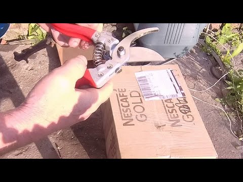 Видео: секатор и удобрения