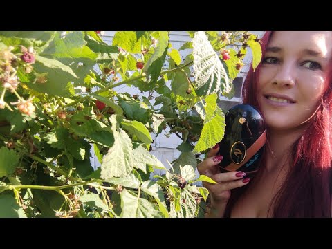 Видео: Фотоэпилятор. Результат. Достоинство и недостатки. Покупать или не покупать.