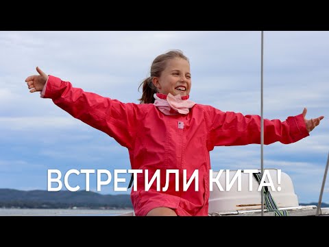 Видео: Великий Мыс Льюин. Встреча в океане с китом.