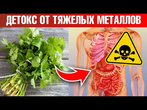 Видео: Тяжелые металлы в организме 👉 безопасный детокс
