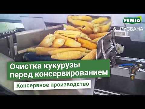 Видео: Линия подготовки кукурузы к заморозке или консервированию