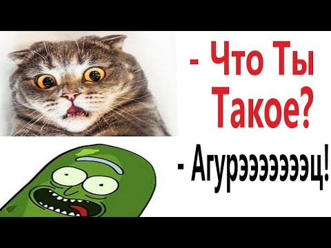 Видео: Лютые приколы. КОТ ПРОТИВ ОГУРЦА!!! Тест на психику! Засмеялся проиграл! – Domi Show!