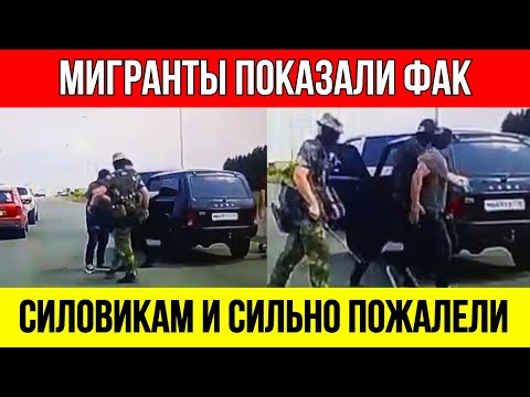 Видео: ДОПОНТОВАЛИСЬ! "Нива" с мигрантами подрезала и показала неприличный жест... А ТАМ БЫЛ СПЕЦНАЗ!