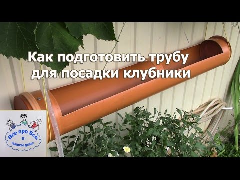 Видео: Как сделать трубу для посадки клубники.