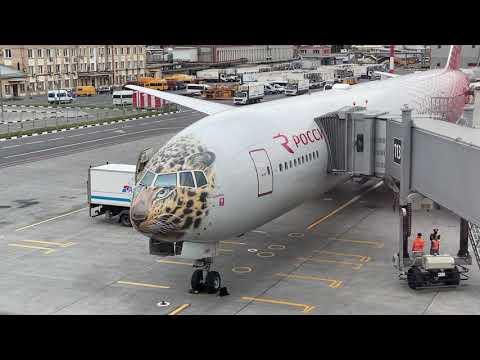 Видео: Где взять живую Honda Legend KB1?