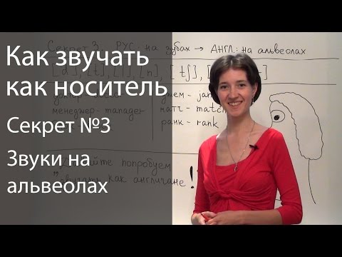 Видео: Английское произношение - 6 секретов. Звуки на альвеолах