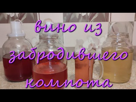 Видео: Домашнее Вино Из Компота Который Забродил Простой Рецепт