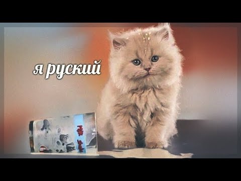 Видео: 1х1