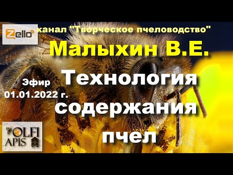 Видео: 01.01.22 г. Z-рация, канал "#Творческое_пчеловодство" #Малыхин В.Е. #Технология_содержания_пчел