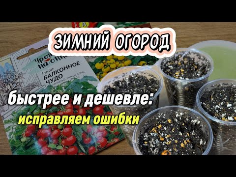 Видео: Огород на окне: в новом сезоне исправляем ошибки