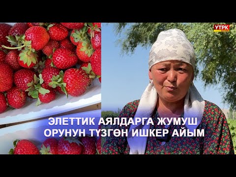 Видео: ЭЛЕТТИК АЯЛДАРГА ЖУМУШ ОРУНУН ТҮЗГӨН ИШКЕР АЙЫМ