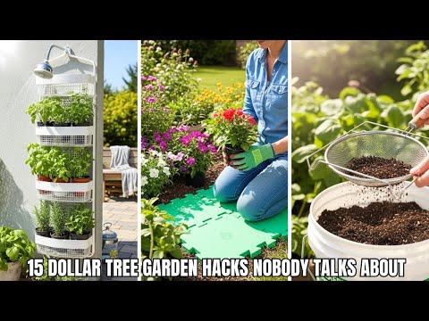 Видео: 15 лайфхаков для сада с деревьями за доллар, о которых никто не расскажет в 2025 году | Преобрази...