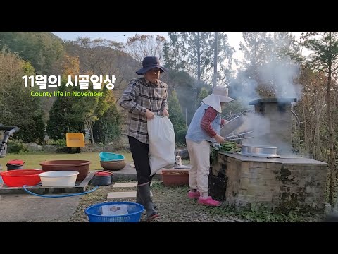 Видео: АНГЛ | ❄️Морозное утро, деревенская жизнь 🪔 Профилактика мягкой гнили капусты и борьба с тлей ‼️С...