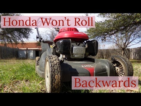 Видео: Газонокосилка Honda не откатывается назад