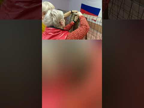 Видео: Открытие нового пункта плетения.