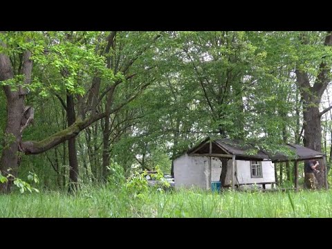 Видео: Ірдинські болота