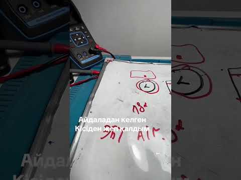 Видео: #дусяшым 