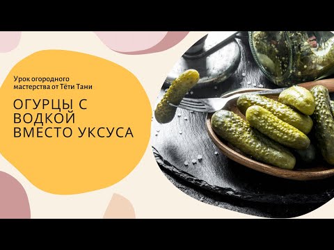Видео: 607. Огурцы с водкой вместо уксуса.