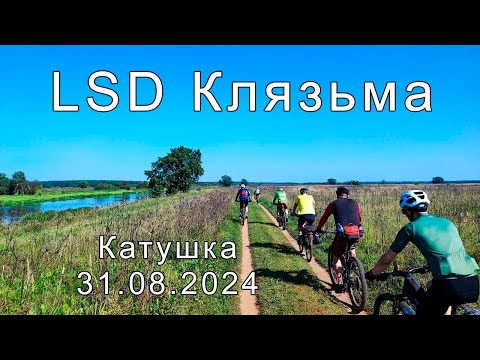 Видео: LSD Клязьма | Велокатушка 31.08.2024