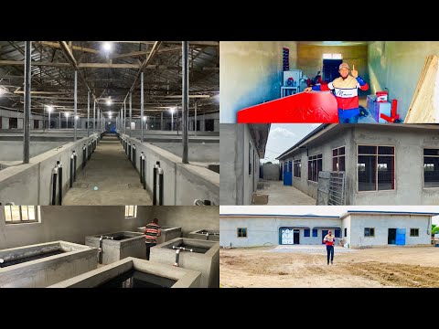 Видео: КРУПНЕЙШАЯ в Гане суперсовременная рыбоводческая ферма, построенная нигерийским экспертом по рыбо...