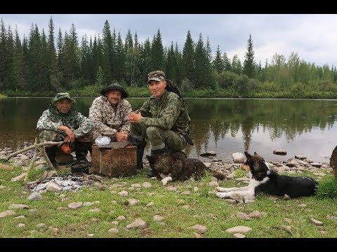 Видео: Таежные уроки Ивана Сафонова. Документальный фильм