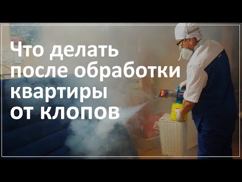 Видео: Что делать после обработки квартиры от клопов
