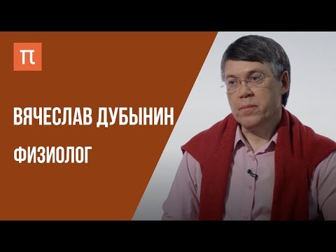 Видео: Что я знаю — химия мозга // Физиолог Вячеслав Дубынин на ПостНауке