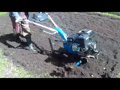 Видео: КУЛЬТИВИРУЕМ участок МОТОБЛОКОМ