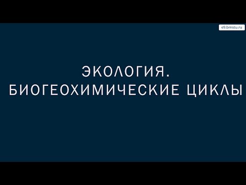 Видео: Учебный курс Экология  Лекция 10  Биогеохимические циклы