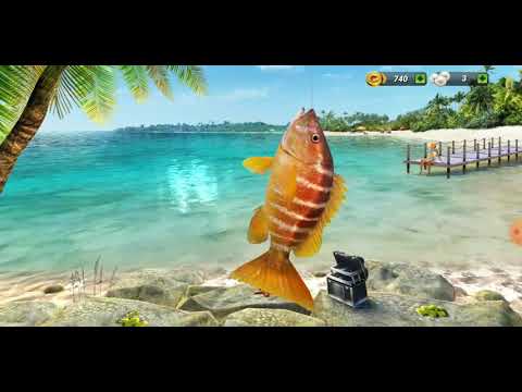 Видео: Fishing Clash как правильно начать игру, без вложения денег (часть 1)