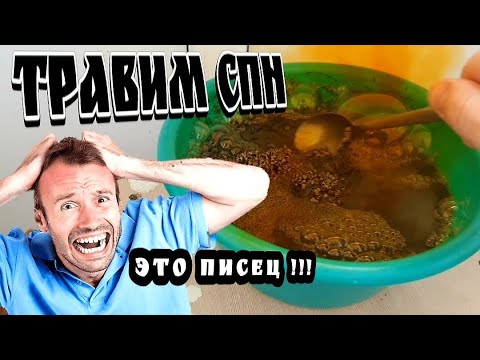 Видео: Травление СПН