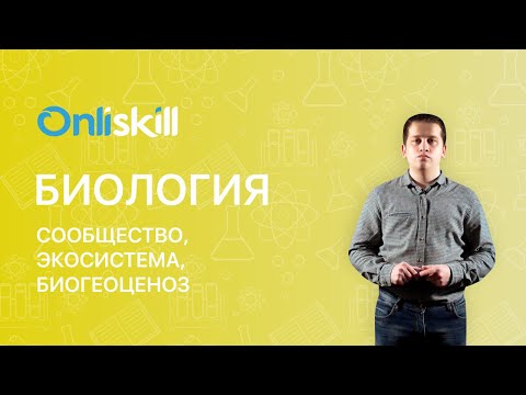 Видео: Биология 9 класс: Сообщество, экосистема, биогеоценоз и их характеристики.
