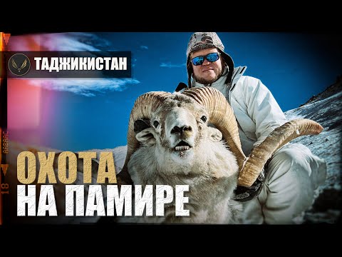 Видео: ГОРНАЯ ОХОТА НА ПАМИРЕ (Таджикистан) горный баран Марко Поло и другие |ОХОТА С ДЕНИСОМ МОРОЗОВЫМ