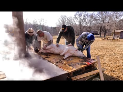 Видео: ДЕНЬ 1 ИЗ 3: Аппалачское наследие. Старинное забойное убойное шествие... Убой и ошпаривание.