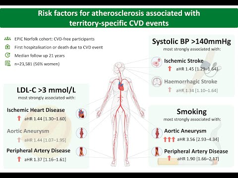 Видео: Различия в долгосрочном влиянии традиционных факторов риска атеросклероза на различные бассейны