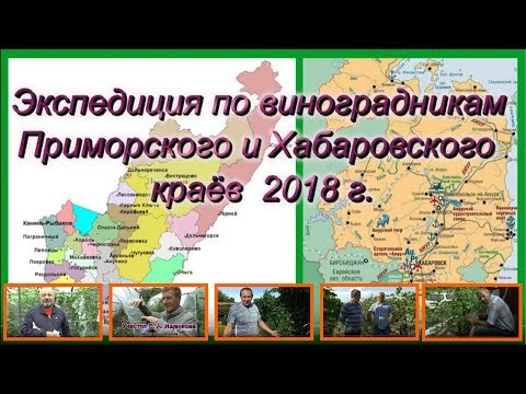 Видео: Экспедиция по виноградникам Приморья и Хабаровска, август-сентябрь 2018 года.