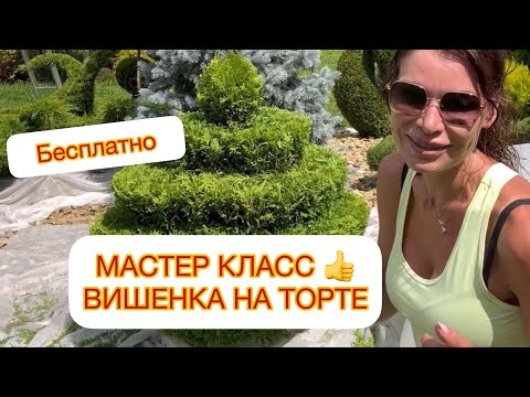 Видео: ✅МАСТЕР КЛАСС - БЕСПЛАТНО‼️ «ВИШЕНКА НА ТОРТЕ»