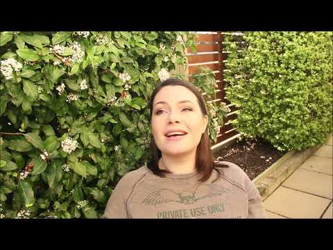 Видео: Сколько стоит жить в тепле зимой в Новой Зеландии? + другая болтовня.