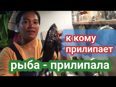 Видео: в тайфуне и вне его