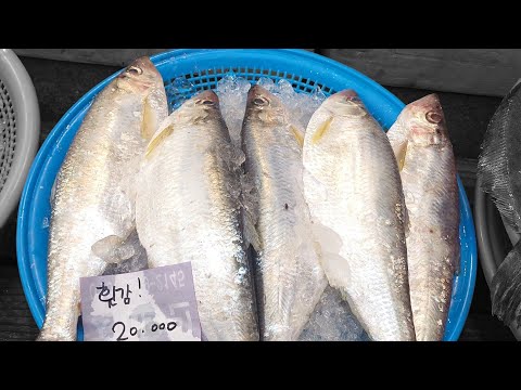 Видео: Говорят, даже гнилая илиша хороша, но наша — супер свежая! (факт: рыбный рынок Йосу Джунган)