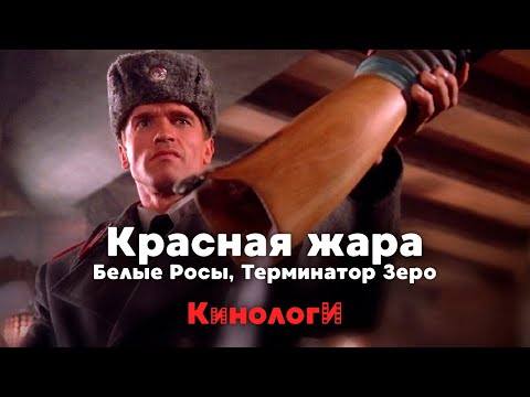 Видео: Кинологи. Красное и Белое