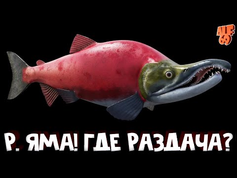 Видео: ЛОВИМ ТРОФЫ ВЕЧЕРКОМ! СТРИМ РУССКАЯ РЫБАЛКА 4 (RUSSIAN FISHING 4)