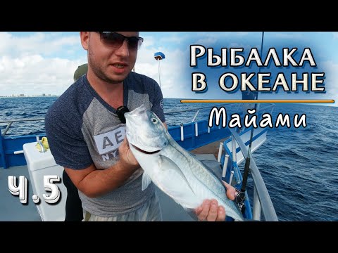 Видео: Океаническая рыбалка/Акулы/Майами/Ч.5/Последний день отпуска/США