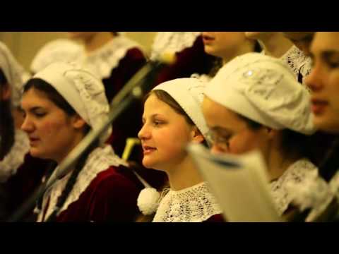 Видео: Живет повсюду красота