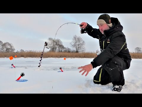 Видео: ВОТ ЭТО ПОПАЛ НА ЖОР. Щука глотает всё, что ей опускаю. Рыбалка на вибы и жерлицы зимой со льда