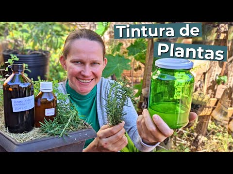 Видео: Как приготовить настойку лекарственных растений🌱 Натуральное здоровье 💚