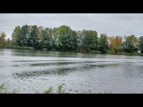 Видео: Безработная по новому закону  Германии после 32 лет рабочего стажа.